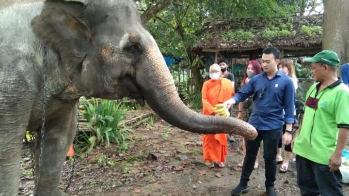 Rizki Lubis: Benahi Medan Zoo Agar Bisa Dongkrak PAD