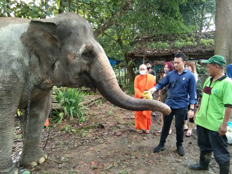 Rizki Lubis: Benahi Medan Zoo Agar Bisa Dongkrak PAD Rizki Lubis: Benahi Medan Zoo Agar Bisa Dongkrak PAD