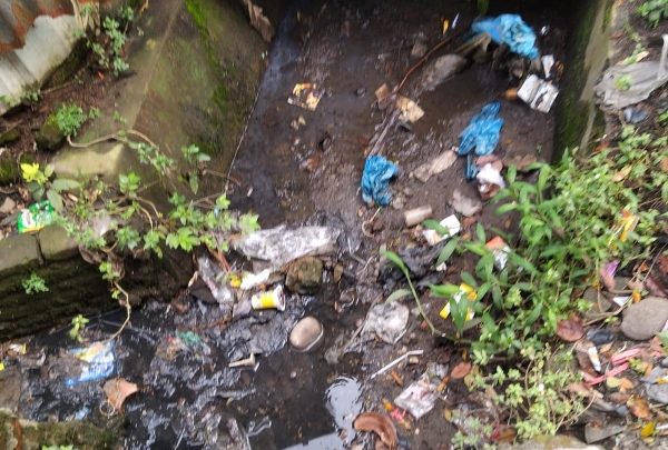 Dhiyaul Hayati Minta Pemko Medan Fokus Benahi Drainase