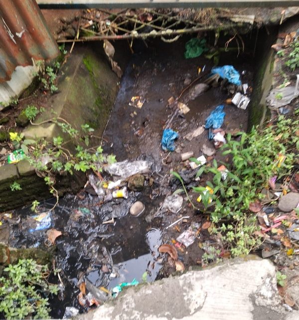 Dhiyaul Hayati Minta Pemko Medan Fokus Benahi Drainase Dhiyaul Hayati Minta Pemko Medan Fokus Benahi Drainase
