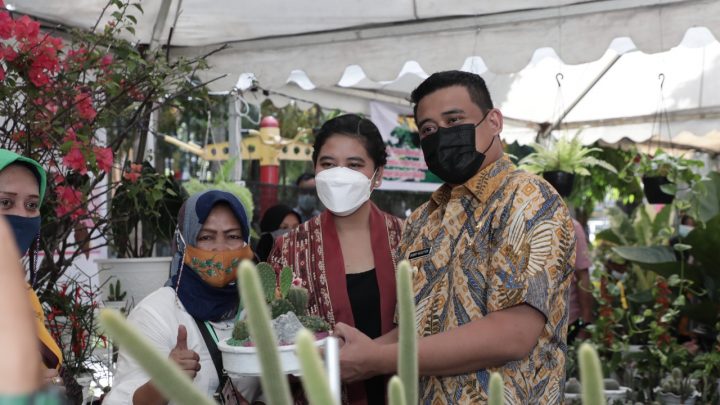 Pemko Medan Promosikan Tanaman Hias