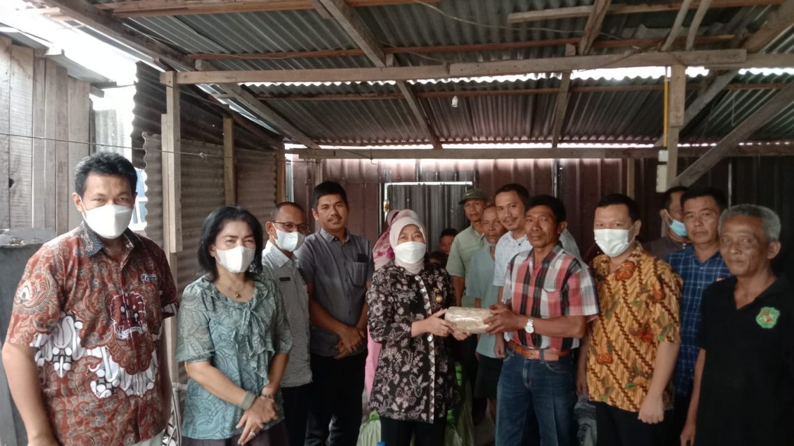 Kelompok Tani Nusa Jadi Dapat Bantuan Dari Dinas Ketahanan Pangan