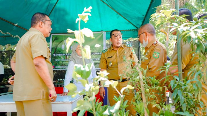 Aulia Rachman: Lakukan Inovasi & Bangun Kolaborasi
