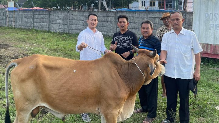 Rizki Lubis Qurban 2 Ekor Lembu dan 2 Ekor Kambing