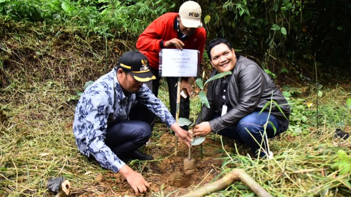 Lestarikan Hutan Resapan Air Sibolangit, Direksi Perumda Tirtanadi dan Masyarakat Tanam Bibit Pohon Aren
