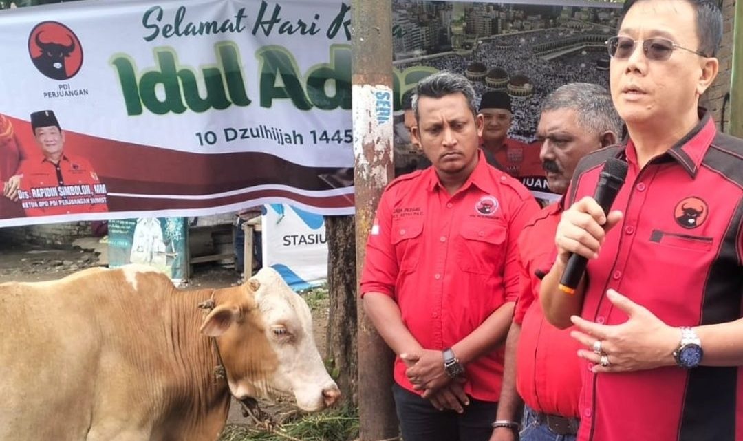 Idul Adha 2024, DPC PDIP Medan Serahkan 4 Ekor Sapi dan Kambing Idul Adha 2024, DPC PDIP Medan Serahkan 4 Ekor Sapi dan Kambing