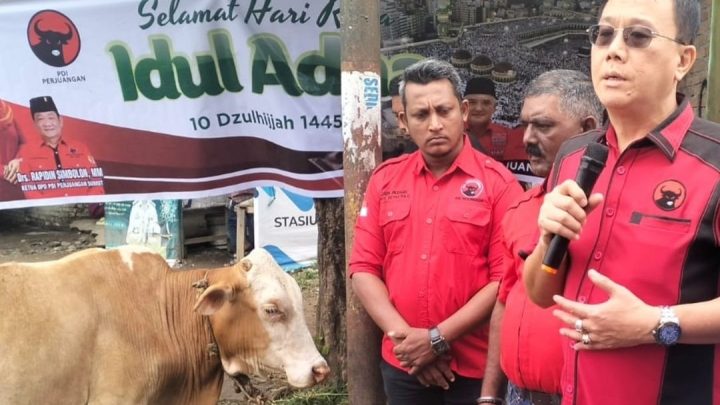Idul Adha 2024, DPC PDIP Medan Serahkan 4 Ekor Sapi dan Kambing
