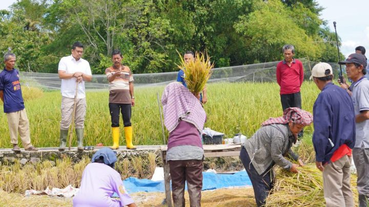 Petani di Balige Curhat Kepada Bobby Nasution Soal Pupuk Hingga Infrastruktur
