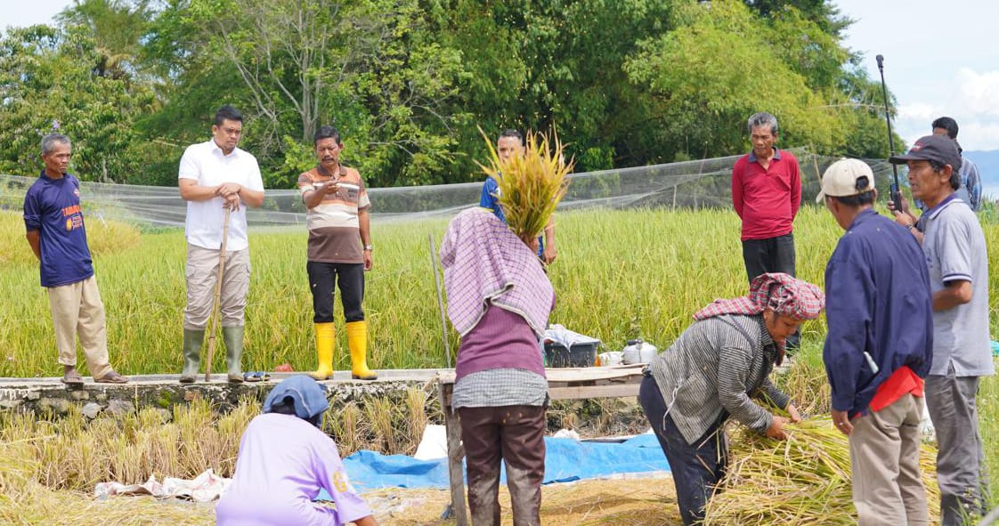 Petani di Balige Curhat Kepada Bobby Nasution Soal Pupuk Hingga Infrastruktur Petani di Balige Curhat Kepada Bobby Nasution Soal Pupuk Hingga Infrastruktur