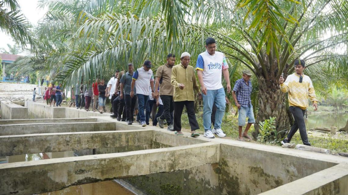 Bobby Nasution Tinjau Waduk Tak Terurus 50 Tahun di Langkat Bobby Nasution Tinjau Waduk Tak Terurus 50 Tahun di Langkat