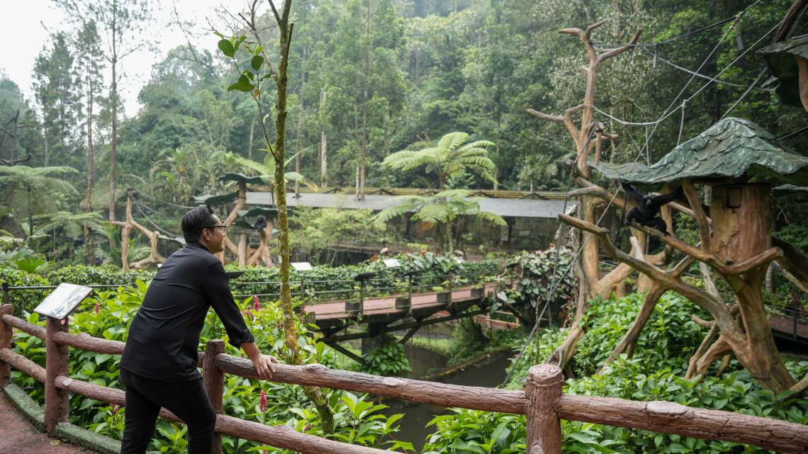 Benahi Medan Zoo, Rico Waas Studi Banding ke Taman Safari Medan Benahi Medan Zoo, Rico Waas Studi Banding ke Taman Safari Medan