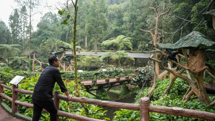 Benahi Medan Zoo, Rico Waas Studi Banding ke Taman Safari Medan