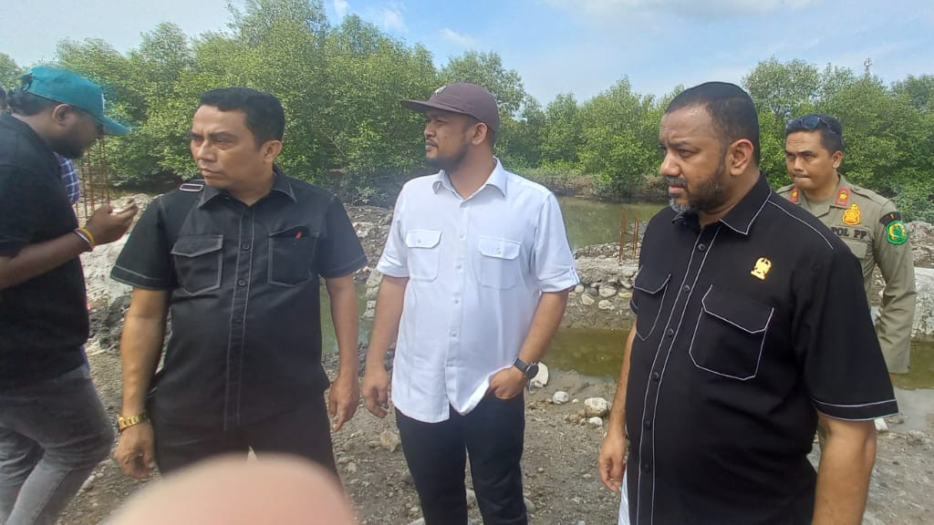 Hadi Suhendra Minta Walikota Tindak Penimbun Hutan Mangrove di Sicanang Hadi Suhendra Minta Walikota Tindak Penimbun Hutan Mangrove di Sicanang