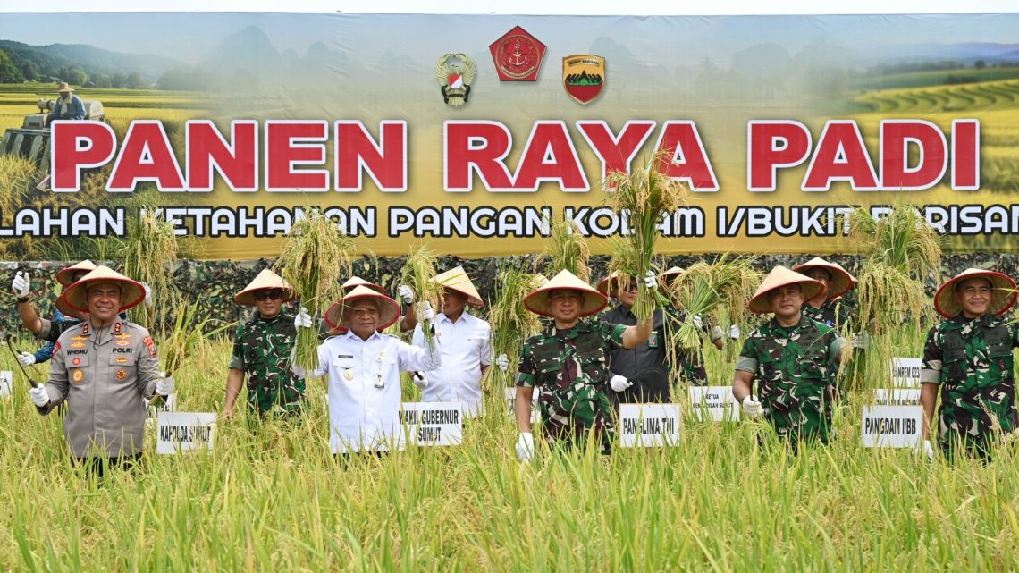 Wagub Sumut Bersama Panglima TNI Panen Raya Padi di Deliserdang