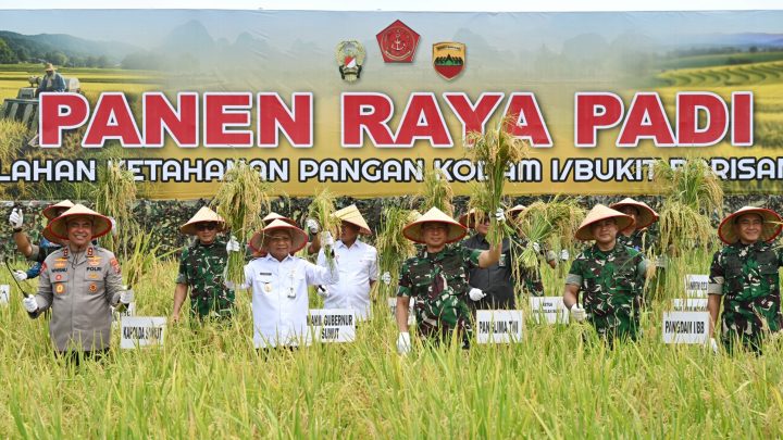 Wagub Sumut Bersama Panglima TNI Panen Raya Padi di Deliserdang