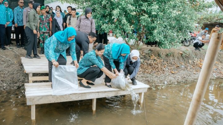 Kahiyang Ayu Tabur 15.000 Benih Ikan, Dorong Swasembada Pangan di Langkat