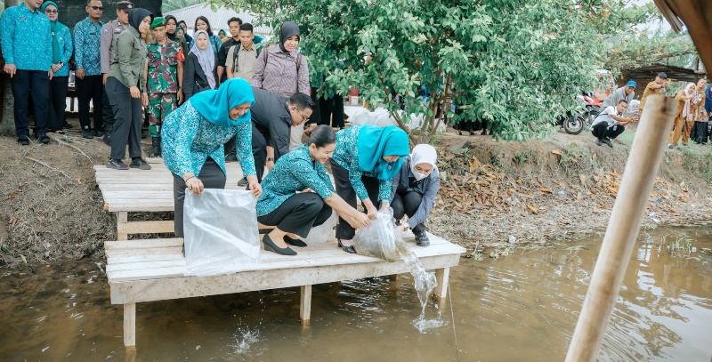 Kahiyang Ayu Tabur 15.000 Benih Ikan, Dorong Swasembada Pangan di Langkat