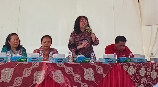 DR. Lily, MH Minta Pemko Medan Terapkan Perda No. 2/2024 Dengan Maksimal