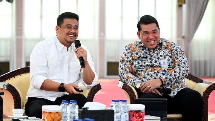 Pemprov Sumut Susun Strategi Pengembangan Kawasan Unggulan Tiga Sektor