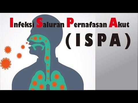 Komisi II Minta Dinkes Fokus Tekan Lonjakan Kasus ISPA di Kota Medan