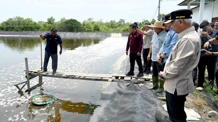 Tinjau UPTD BIAPAL Sialang Buah, Wagub Sumut Surya Dorong Peningkatan PAD Sektor Perikanan
