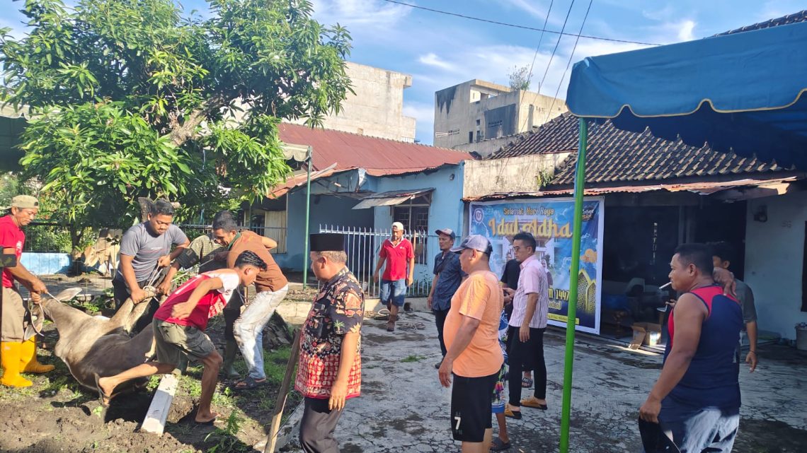 PWPM Sembelih Dua Sapi Kurban Bantuan Wali Kota Medan Rico Waas