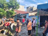 PWPM Sembelih Dua Sapi Kurban Bantuan Wali Kota Medan Rico Waas