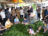 Ekonomi Masyarakat Nias Utara Terdongkrak dari Rumput Laut,Wagub Surya Dorong Hilirisasi
