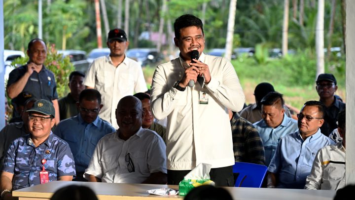 Gubernur Bobby Nasution Siapkan Rumah Produksi Kelapa di Nias Utara