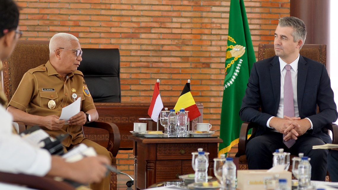 Wagub Surya Tawarkan Potensi Investasi Sumut kepada Duta Besar Belgia