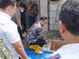 Dimulai dari Gang Sempit di Marelan, Rico Waas Nyalakan 1.000 Titik Lampu Baru: Medan Harus Terang Sampai ke Lorong