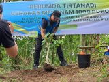 Perumda Tirtanadi Tanam 1.000 Pohon Di Sibolangit, Ardian Surbakti : Masih Banyak Aktivitas Penebangan Pohon